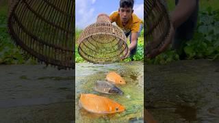 Amazing Fishing By Polo Trap #bigfish #polofishing #catchingfish #fishvideo #shorts