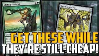 CHEAP New Bloomburrow Staples! Common/Uncommons That Are REALLY Good! - Magic: The Gathering