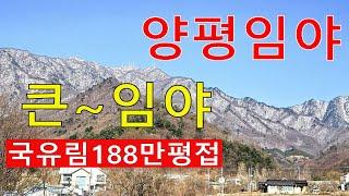 양평 큰~임야 국유림188만평접 계획+보전관리포함 건축가 소나무1060억원 자연인 전원생활 숲야영장6차산업 탄소권8458만원 숲카페 땅과함께(새희망을)경매임야 공매임야 나도땅주인