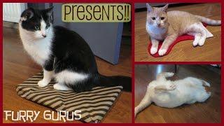 The Cats' Christmas Presents!! | Furry Gurus