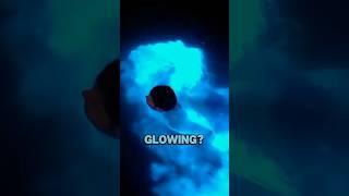 Glowing Sea Water