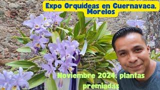 !Increíble Expo Orquídeas en Cuernavaca, plantas premiadas 2024!