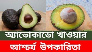 অ্যাভোকাডো  খাওয়ার আশ্চর্য উপকারিতা  | Health Benefits of Avocado | কিভাবে খাবেন অ্যাভোকাডো ফল ?