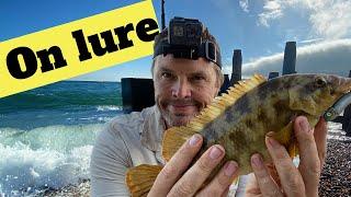 5 Minute Sea Fishing - South Devon Lure fishing session