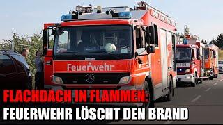 Feuer auf Flachdach in Köln - Feuerwehr Köln mit vielen Kräften im Einsatz | 09.07.2024