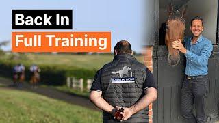 Inside Look: A Day In The Life Of A Racehorse Owner At Roger Teal's Yard