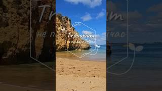 Travorium: Живи, а не жди