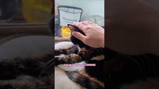 cat person likes my cat's final motions. #고양이 #cat #고양이일상 #catmemes