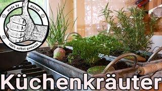 Kräutergarten selber machen, Küchenkräuter richtig pflegen, Basilikum, Schnittlauch, Petersilie