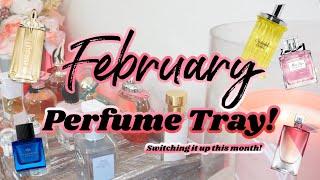 FEBRUARY PERFUME TRAY!  PERFUMES I WILL BE WEARING THIS MONTH | MY PERFUME COLLECTION ️| AMY GLAM