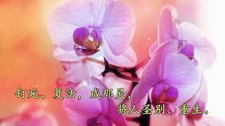 极深奥秘，莫测大爱