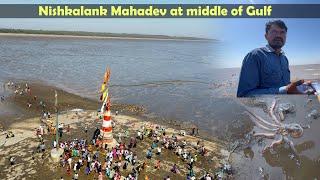 Hidden Mahadev mandir At Middle of gulf || NISHKALANK MAHADEV || found live octopus  ||