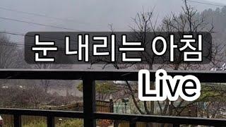 눈내리는 아침/소통/선재작은농장(tv) 라이브 방송