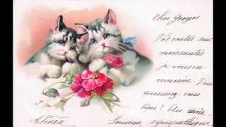 THE CATS AND FLOWERS