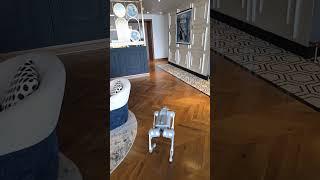 just leaving after some breakfast with the crew #robots #gaming #Token2049 #venturemindai