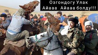 Аламан Улак/Айааа Айааа/ Озгон 12-12-2021