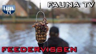 Fauna TV - Feedervissen