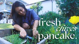 fresh chives pancake from my mom's garden | Tiffycooks Vlog