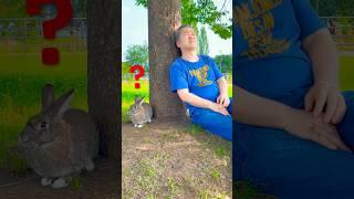 어느 토끼와의 사랑이야기 ️ #rabbit #동물키우기 #반려동물