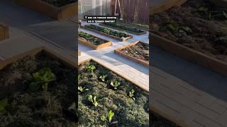 Заканчиваем обустраивать свой огородик #свойдом #garden #огород