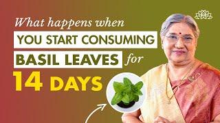 Basil / Tulsi leaves benefits for weight loss, hair growth & skin | Tulsi leaves tea recipe | Stress