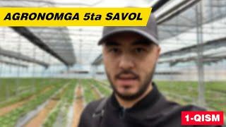 Agronomga 5 ta savol.  1 qism. Qulupnaychilik