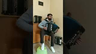 " Весёлый паровозик".                                                   Роман Головченко Гармонь