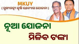 Mukhyamantri Krushi Udyog Yojana | Agriculture Odisha (MKUY) Scheme Details - Odisha Creativity