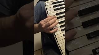 Bend notes on the Accordion.#accordion #music #musician