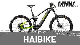 Haibike AllTrail 9 titan / lime / black matt - E-Bike Fully MTB