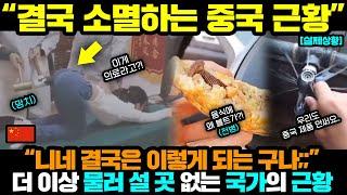 중국반응ㅣ니네 결국 이렇게 될 줄 알았어;;