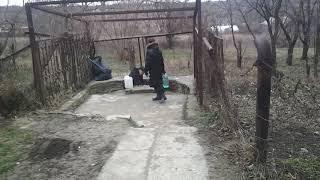 Источник, сероводородный близ станицы Гостагаевская, в хуторе Фадеева.