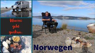 #040 - Mit dem Wohnmobil durch Norwegen.Kirkenes, Königskrabbe in Bugoynes, Barentssee