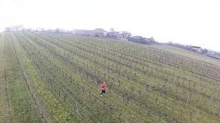 Sortie Drone dans les vignes