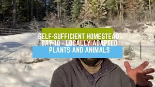 Self-sufficient Homestead: Day 10 - Locally Adapted Plants and Animals