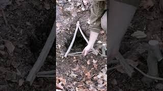 Stick trap #bushcraft #trap #survival