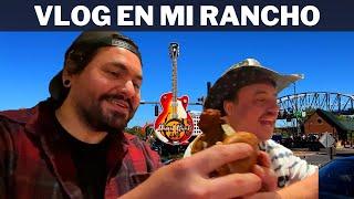 Probando el pollo más picante | La Capital