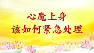 卢台长【节目录音】心魔上身该如何紧急处理