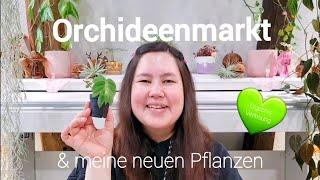 Orchideenmarkt im Botanischen Garten Utrecht  | Meine neuen Pflanzen  | Ergebnis Verlosungen 