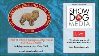 THE CAVALIER KING CHARLES SPANIEL CLUB Championship Show 2025