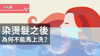 為什麼染燙完頭髮不能馬上洗頭？掉色、洗直到底是真是假？