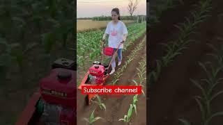 Mini rotaveter jutai karne ki machine #farming #trending #ytshorts #agriculture #agriculturetools