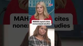 Karoline Leavitt says errors in the MAHA Commission report were due to "formatting issues"