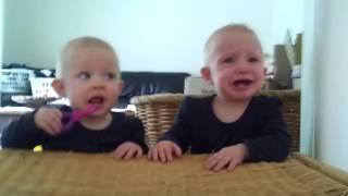 Twins Kids fighting for toothbrush