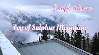 Peak of Sulphur Mountain Walking Tour | Banff Gondola  | Alberta Canada