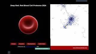 CIHD Virtual Seminar April 15th, 2025 - Angelo D’Alessandro, Ph.D.