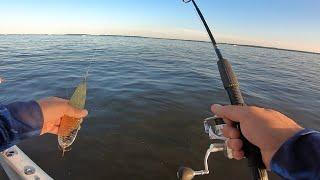 Now You Will ALWAYS Catch Stripers on this Bait! HERE’S WHY!