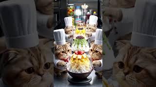  Six Tiny Chef Cats Enjoy a Giant Bingsu Feast in a Luxury Restaurant! #cat #summer