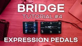 BRIDGE Tutorial #4 - Expression Pedals