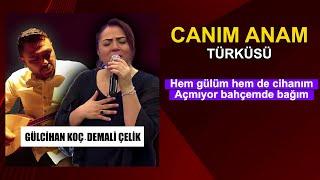 Gülcihan Koç & Demali Çelik - Canım Anam | Single © 2025 Demali Çelik Müzik